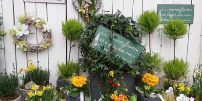 Händler - Produkt-Kategorie: Pflanzen und Blumen - Salzburg - Frühling bei uns - Gärtnerei Monger