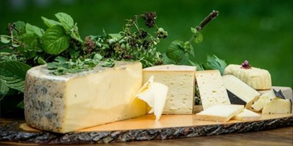 Händler - überwiegend selbstgemachte Produkte - Steiermark - bester Rohmilchkäse von unseren Bauern mit Milch von heimischen Kühen, Ziegen oder Schafen - Heimatgold Schladming