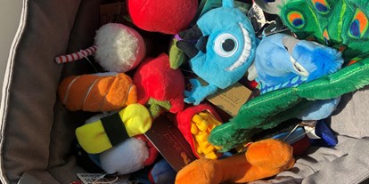 Händler - überwiegend regionale Produkte - Wien - schadstofffreie Spielsachen für Hunde - Heimtier-Treff
