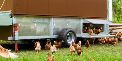 Händler - kostenlose Lieferung - Salzburg - Der mobile Hühnerstall mit 180 Legehennen - BERGerWIESEN
