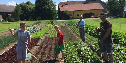 Händler - Art des Betriebes: landwirtschaftlicher Betrieb - Hofladen Joglbauer