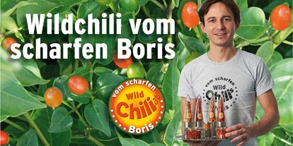 Händler - überwiegend Fairtrade Produkte - Oberösterreich - Vom scharfen Boris