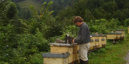 Händler - Art des Herstellers: Imkerei - Am Bienenstand Welchau Breitenau - Bio Imkerei Russmann wir Imkern in der Nationalpark Kalkalpen Region . 