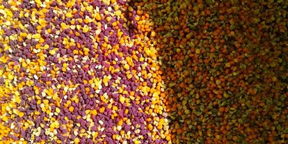 Händler - Art der erstellten Produkte: Deko-Artikel - Pollen Farbenspiel - Bio Imkerei Russmann wir Imkern in der Nationalpark Kalkalpen Region . 