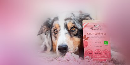 Händler - Art der erstellten Produkte: Tierbedarf - Superfood, Gemüse und Obst für Hunde in Pulver Fertigmischungen - MYOKEE - Die Bio Hundeküche