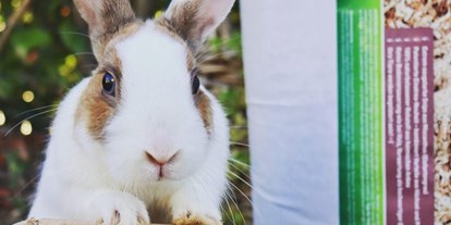 Händler - Produkt-Kategorie: Tierbedarf - Oberösterreich - Miscanthus Pellets als Einstreu für Kaninchen - Jumbogras-Tier.Shop