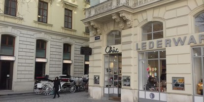 Händler - Art der Abholung: Übergabe mit Kontakt - Wien - Chic Filiale in Wien auf der Freyung II - Chic Lederwaren und Taschengeschäft