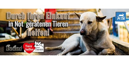 Händler - Zahlungsmöglichkeiten: PayPal - Steiermark - Das Bild zeigt einen obdachlosen armen Hund vor einer Stiege eines Einkaufszentrums. Geschrieben steht „Durch Ihren Einkauf in Not geratenen Tieren helfen!“ - Fedor® Tiernahrung