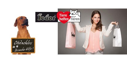 Händler - Steiermark - Das Bild zeigt eine Frau mit zwei Einkaufstaschen in Ihren Händen. Daneben sitzt ein großer brauner Hund, der um seinen Hals eine Tafel trägt. Darauf steh geschrieben „Obdachlos – brauche dringend Hilfe!“  - Fedor® Tiernahrung