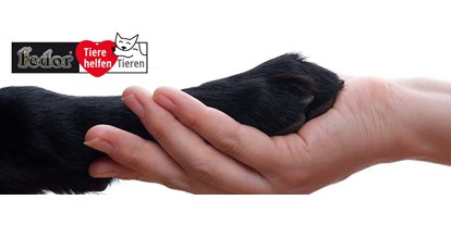 Händler - Zahlungsmöglichkeiten: Kreditkarte - Steiermark - Das Bild zeigt eine Hundepfote in einer Menschenhand gehalten. Daneben das Logo des Charity-Projekts von Fedor® Tieren helfen Tieren! - Fedor® Tiernahrung