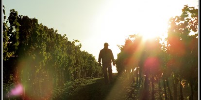 Händler - Produkt-Kategorie: Agrargüter - Salzburg - Weinbau Stark
