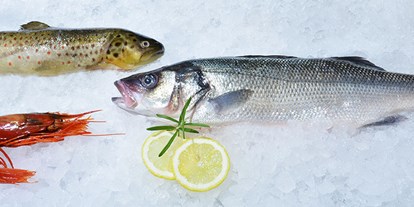 Händler - Mindestbestellwert für Lieferung - Wien - Frischer Fisch, Meeresfrüchte, Tartar und diverse Salate. - Julius Meinl am Graben