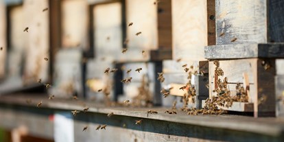 Händler - Art des Vertriebs: Hofladen - Bio Imkerei Bramreither - Bio Honig und weitere Bienenprodukte aus der Region Mühlviertel - Bienenpatenschaften - Bio Imkerei Bramreither - Bio Honig und weitere Bienenprodukte aus dem Mühlviertel