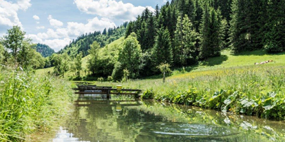 Händler - überwiegend Fairtrade Produkte - Steiermark - Declevas Alpenfisch Mariazell