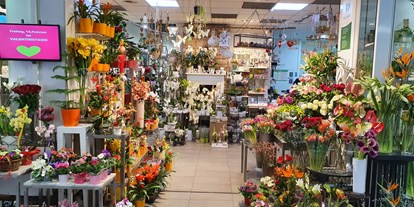 Händler - Produkt-Kategorie: Pflanzen und Blumen - Steiermark - City Blumen - City Blumen Helmut Nickl