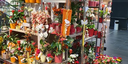 Händler - Produkt-Kategorie: Pflanzen und Blumen - Steiermark - City Blumen - City Blumen Helmut Nickl