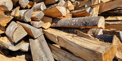 Händler - regionale Produkte aus: Holz - Brennholz-Baden