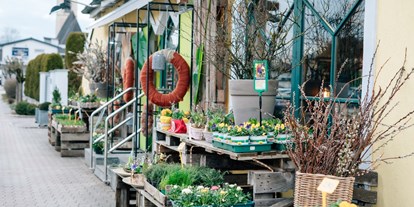 Händler - Produkt-Kategorie: Möbel und Deko - Oberösterreich - Unser Blumen Laden in Vöcklamarkt  - Gärtnerei Thellmann 