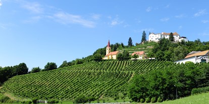 Händler - Art der Abholung: Übergabe mit Kontakt - Steiermark - Schloss Kapfenstein und Weingut Winkler-Hermaden - Weingut Winkler-Hermaden