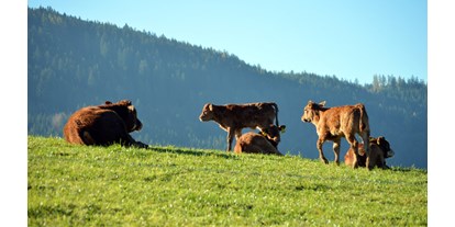 Händler - Hol- und Bringservice - Steiermark - Bio Bauernhof Fam. Freydl