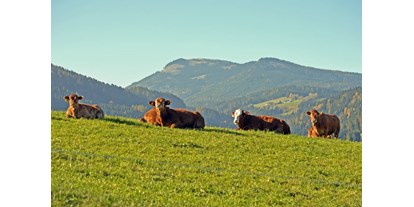 Händler - Steiermark - Bio Bauernhof Fam. Freydl