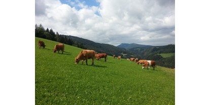 Händler - Art der Abholung: Übergabe mit Kontakt - Steiermark - Bio Bauernhof Fam. Freydl
