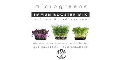 Händler - Produkt-Kategorie: Agrargüter - Salzburg - Urban Roots Salzburg