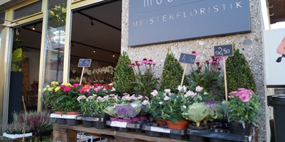 Händler - Produkt-Kategorie: Pflanzen und Blumen - Salzburg - Blumenmädchen Meisterfloristik 