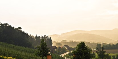 Händler - Steiermark - Hödl Hof Ausblick - Hödl Hof – Brennerei