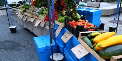 Händler - Produkt-Kategorie: Pflanzen und Blumen - Salzburg - Marktstand an der Schranne - Lielonhof
