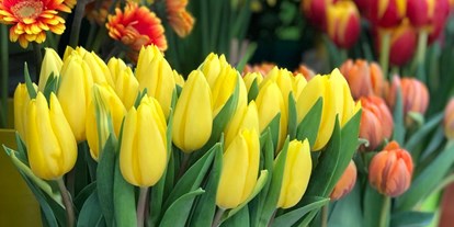 Händler - Produkt-Kategorie: Pflanzen und Blumen - Oberösterreich - Blumen Putz