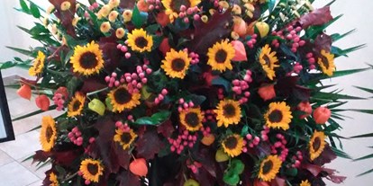 Händler - Produkt-Kategorie: Pflanzen und Blumen - Oberösterreich - Blumen Putz
