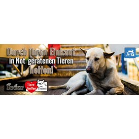 Unternehmen: Das Bild zeigt einen obdachlosen armen Hund vor einer Stiege eines Einkaufszentrums. Geschrieben steht „Durch Ihren Einkauf in Not geratenen Tieren helfen!“ - Fedor® Tiernahrung