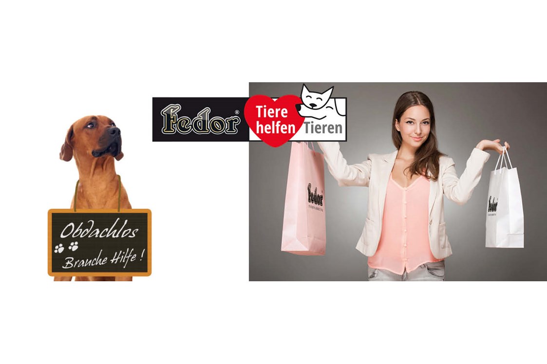 Unternehmen: Das Bild zeigt eine Frau mit zwei Einkaufstaschen in Ihren Händen. Daneben sitzt ein großer brauner Hund, der um seinen Hals eine Tafel trägt. Darauf steh geschrieben „Obdachlos – brauche dringend Hilfe!“  - Fedor® Tiernahrung