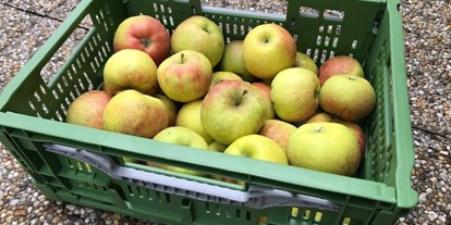 Händler - 100 % steuerpflichtig in Österreich - Salzburg - 5kg Bio-Topaz Äpfel aus Oberrösterreich - fairApples 